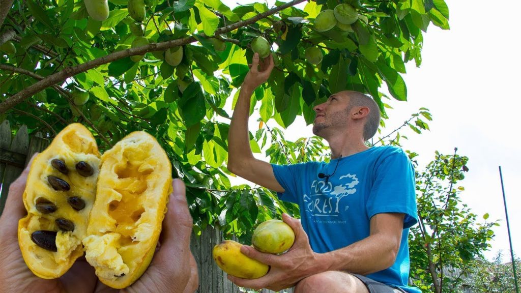 James Prigioni: They said we were Crazy for growing this Fruit… They said we were Crazy for growing this Fruit...