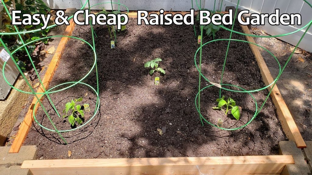 Cheap EZ DIY  Raised Bed Garden - No Tools Needed