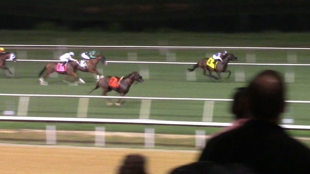 Can a Horse Win with No Rider ???