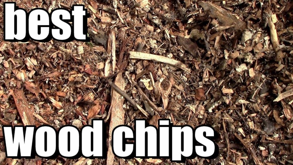 Best Wood Chip Mulch for Your Vegetable Garden