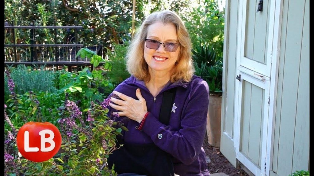 Kaye Kittrell: Thursday Workday | How to Make COMFREY POULTICE for Broken Bones | Part 3 | Vlog Thursday Workday | How to Make COMFREY POULTICE for Broken Bones | Part 3 | Vlog