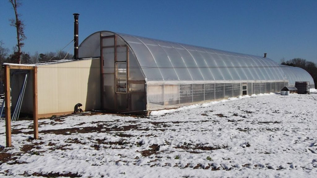 mhpgardener: Around the Greenhouse – Lots of Work to Do Around the Greenhouse - Lots of Work to Do