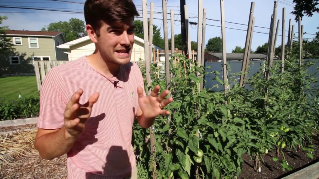 Your Garden Isn't a Light Switch - 5 Bed Styles to Grow Crops ALL Season