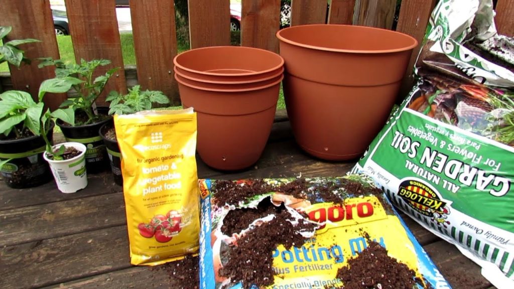 How to Start Your First Container Tomato, Pepper and Herb Garden: All the Steps to Get Started!