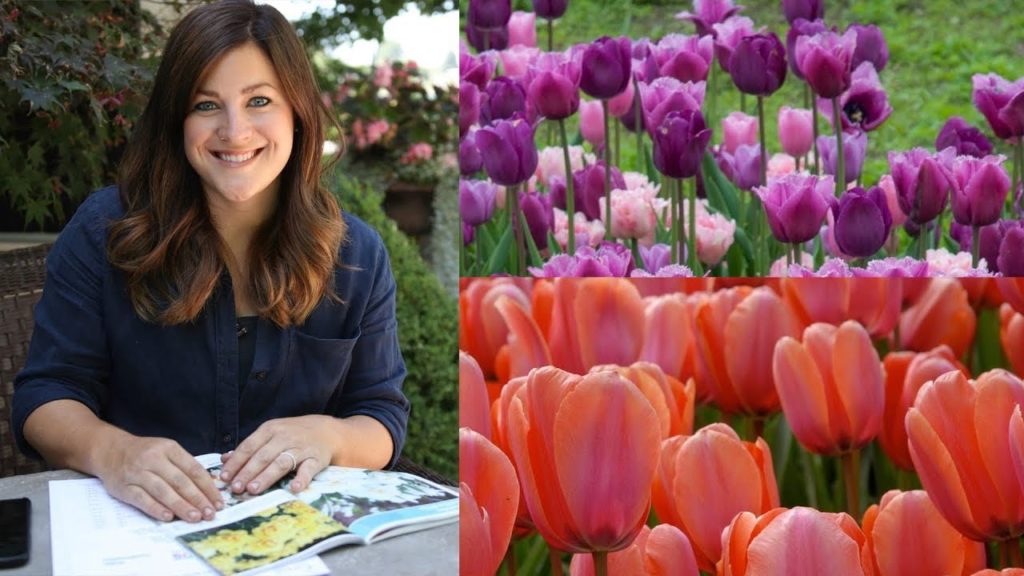 Garden Answer: My 2019 Bulb Order! 🌷🙌// Garden Answer My 2019 Bulb Order! 🌷🙌// Garden Answer