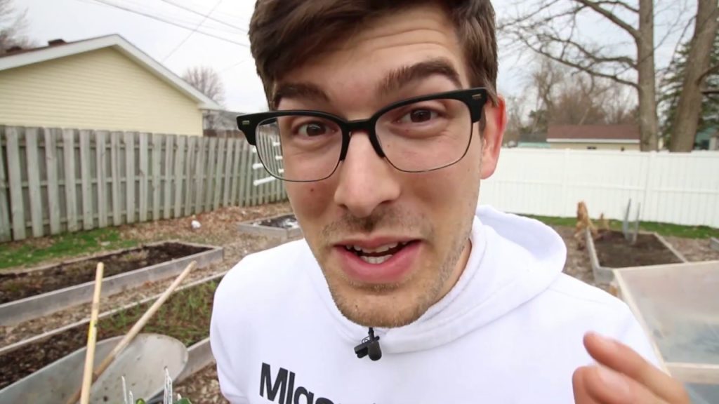 Here is Why You Shouldn’t Direct Sow Cold Hardy Greens