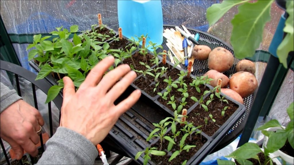 Subscribe to The Rusted Garden 2019: Weekly Videos About Vegetable Gardening & Homesteading
