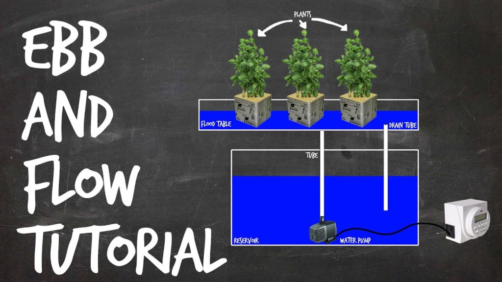 How to Set Up an Ebb and Flow DIY Hydroponics System (Flood and Drain)