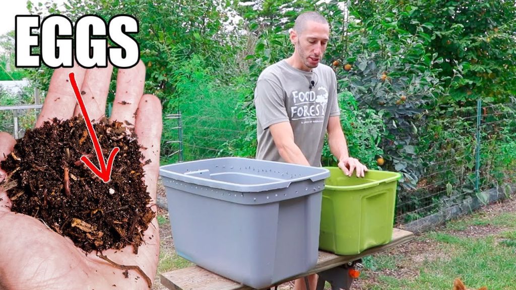 The Right way to make a Worm Bin, Quick, Simple and Inexpensive Gardening