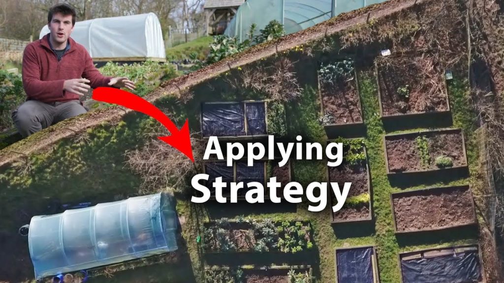 Huw Richards: How to INCREASE Your Garden PRODUCTIVITY with Strategic Thinking How to INCREASE Your Garden PRODUCTIVITY with Strategic Thinking