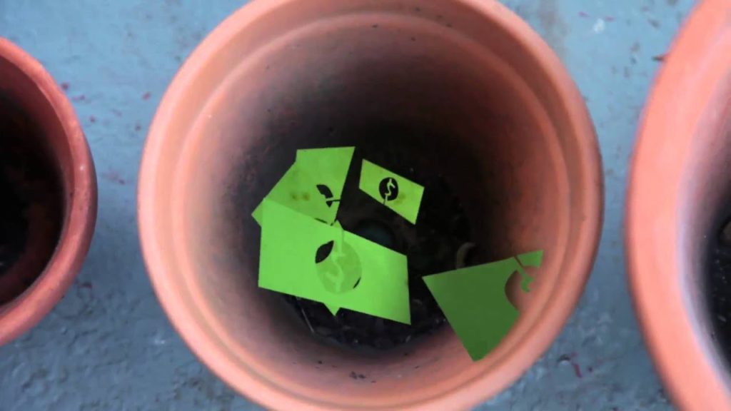 Siloé Oliveira: Why organic is better – Suburban Homestead EP3 Why organic is better - Suburban Homestead EP3