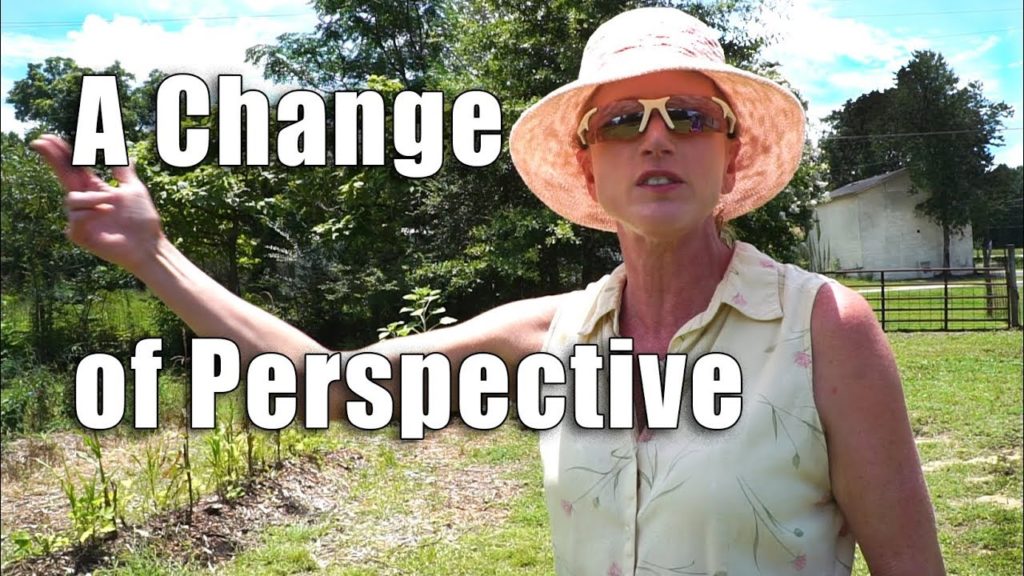 Kaye Kittrell: Southeast Gardens | Permaculture | Gaston, South Carolina Southeast Gardens | Permaculture | Gaston, South Carolina