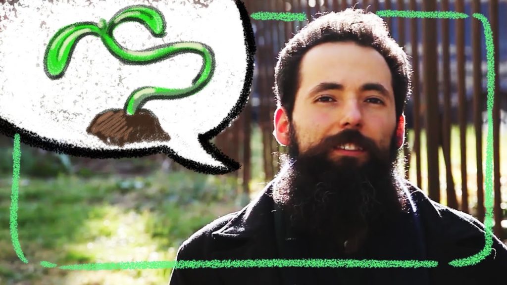 Tips for Starting Seeds Indoors and Preventing Leggy Seedlings - Q&A