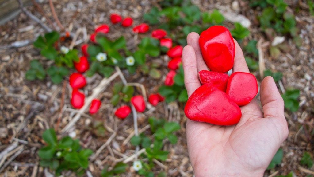 James Prigioni: Simple Tricks to Keep Your Garden PEST FREE! Simple Tricks to Keep Your Garden PEST FREE!