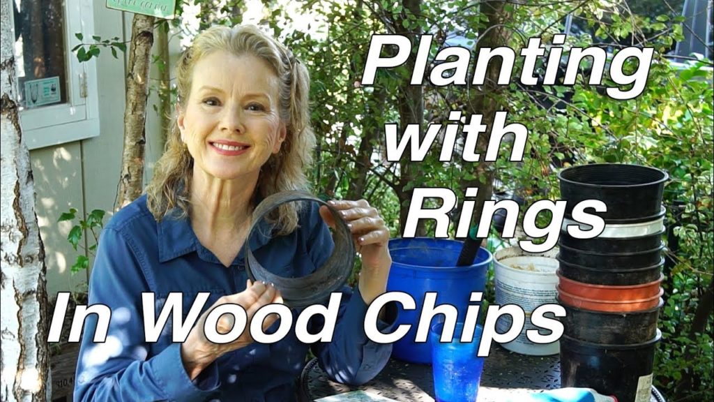 Planting with Rings in Wood Chips | Kaye's Garden Vlog