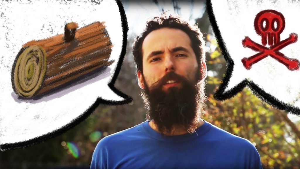 Toxic Wood to Avoid as Mulch or in Hugelkultur Garden - Q&A