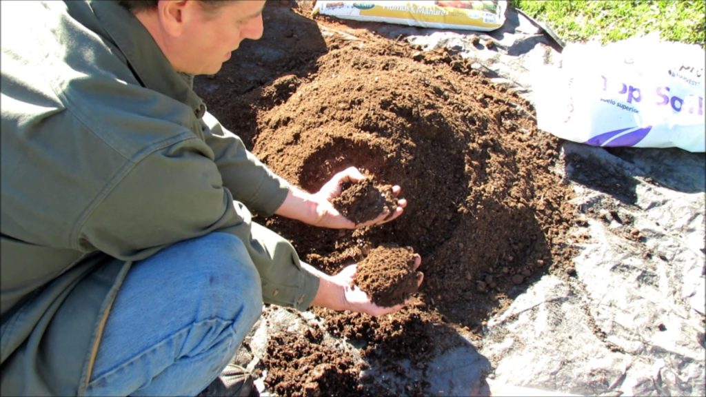 Gary Pilarchik: How to Make Inexpensive Garden Container Soil: Organic Fertilizer, Lime, Peat Moss, Compost & Dirt How to Make Inexpensive Garden Container Soil: Organic Fertilizer, Lime, Peat Moss, Compost & Dirt