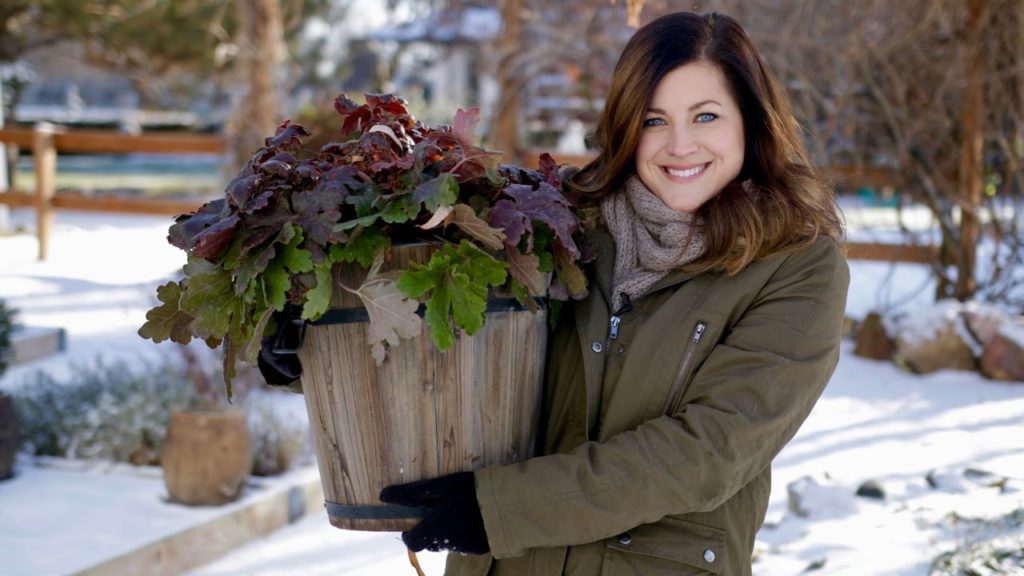 Wintering Over Plants in Containers // Garden Answer