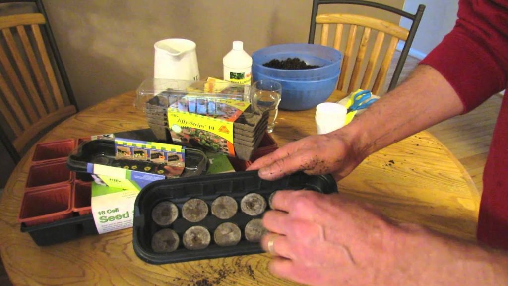 MFG 2016: Starting Vegetable Seeds Indoors: Seed Starting Mixes, Cells/Trays & Watering and Feeding