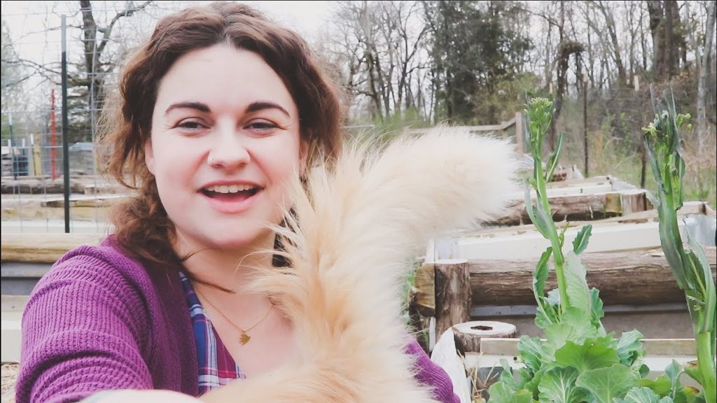 Bolted Brassicas, Nosy Cats & Double Dipping Kale | VLOG | Roots and Refuge