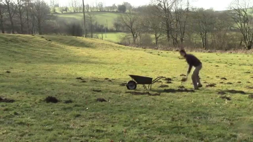 How we Fill our Raised Beds for FREE