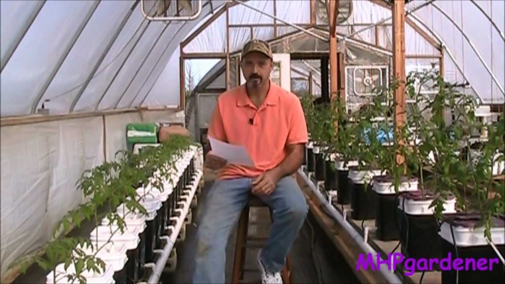 mhpgardener: Questions & Answers – Playing Tag and Getting Personal Questions & Answers - Playing Tag and Getting Personal