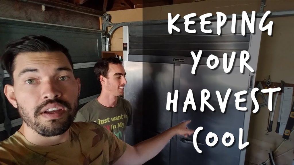 Epic Gardening: Keeping Your Harvest Cool and Well-Preserved Keeping Your Harvest Cool and Well-Preserved