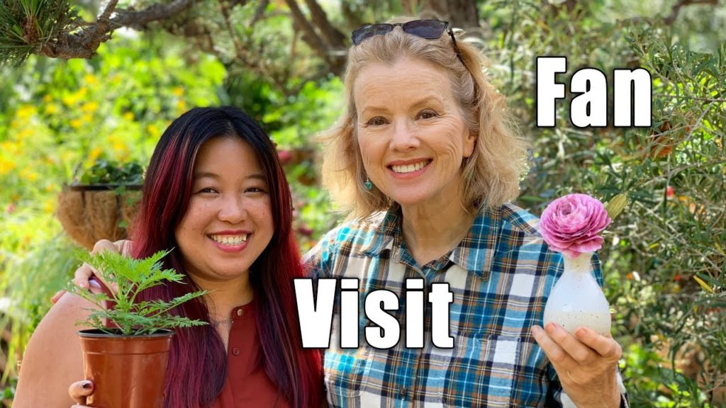 Fans Visit Late Bloomer Garden | Kaye's Vlog