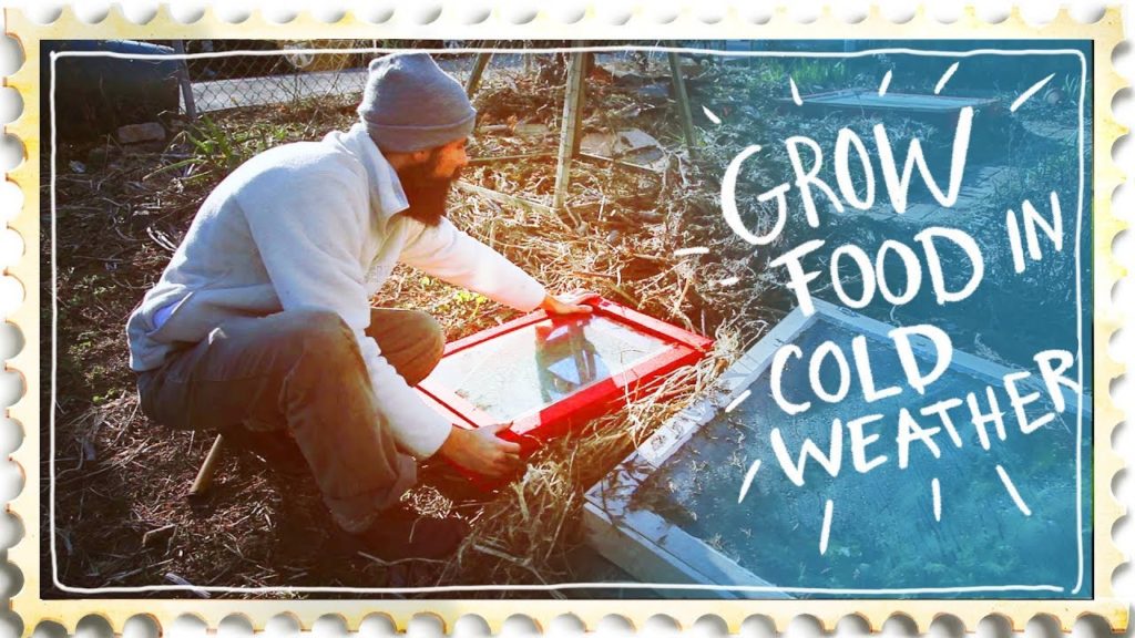 Mini Greenhouse Effect - Building a Cold Frame