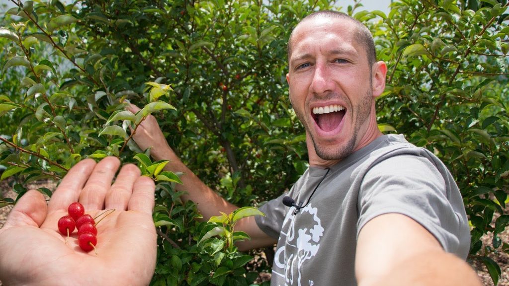 You CAN’T Buy These In The Stores GOUMI BERRIES!