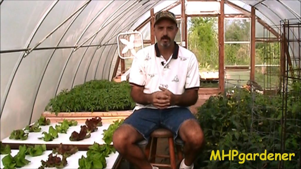 Just Saying Thank You