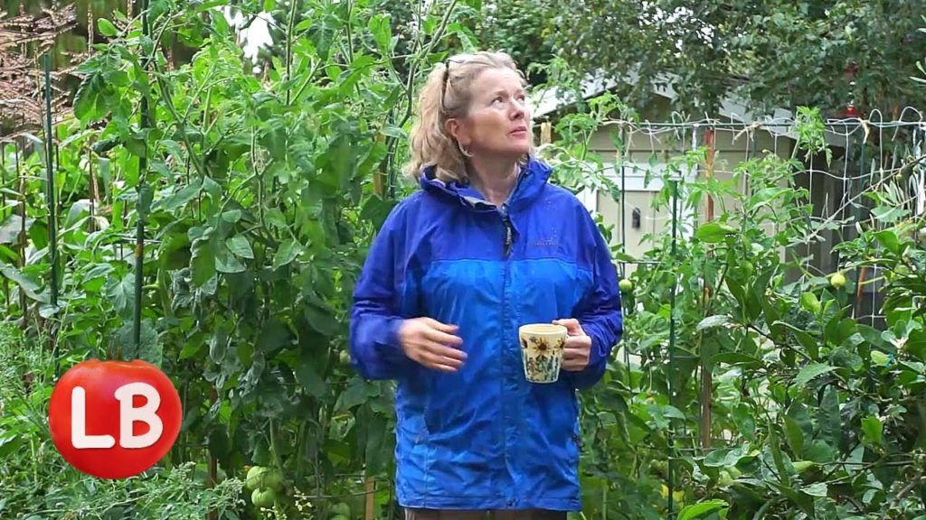 Kaye Kittrell: Big Los Angeles July Rain Event | Late Bloomer | Episode 11 Big Los Angeles July Rain Event | Late Bloomer | Episode 11