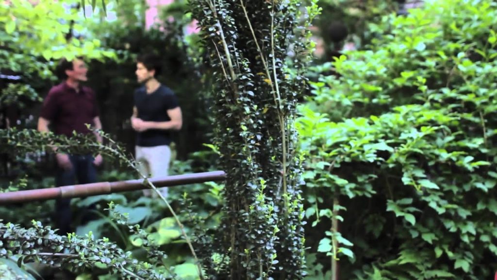 Brooklyn Backyard Jungle – Urban Gardener video Brooklyn Backyard Jungle - Urban Gardener video