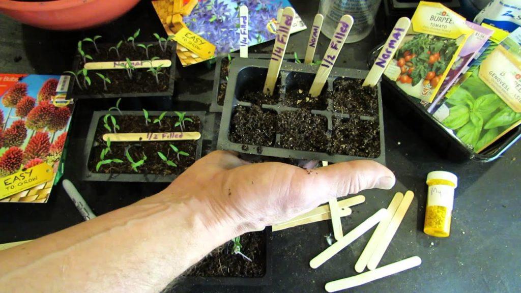 MFG 2015: How Deep to Plant Your Tomato Seeds when Starting Seeds Indoors - It Doesn't Tomatter!
