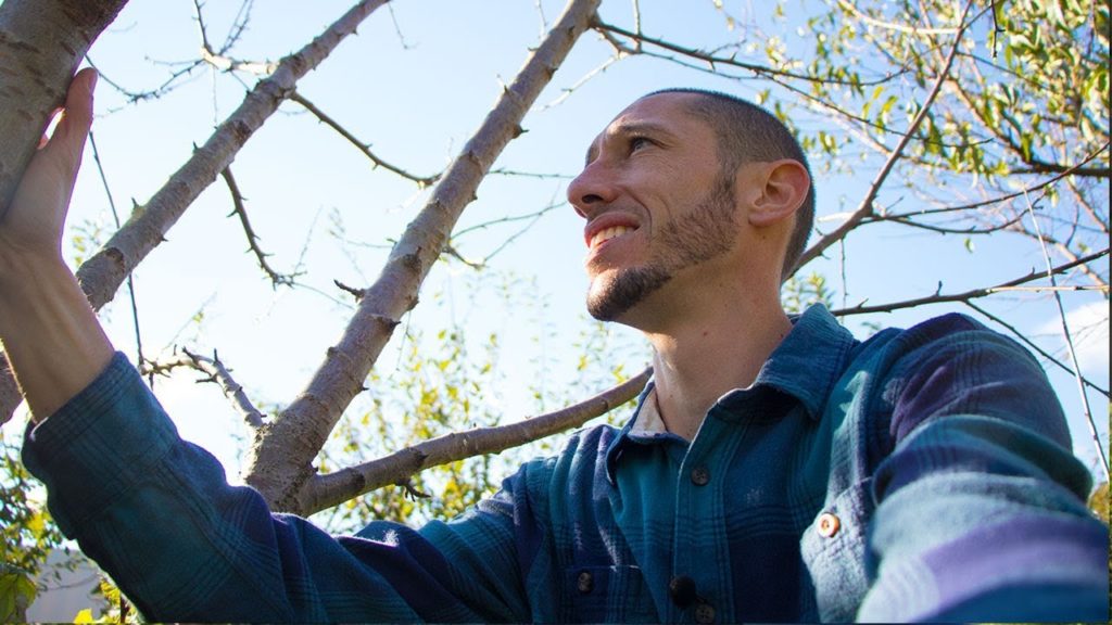 What I Learned After 7 Years Of Growing Fruit Trees In My Garden