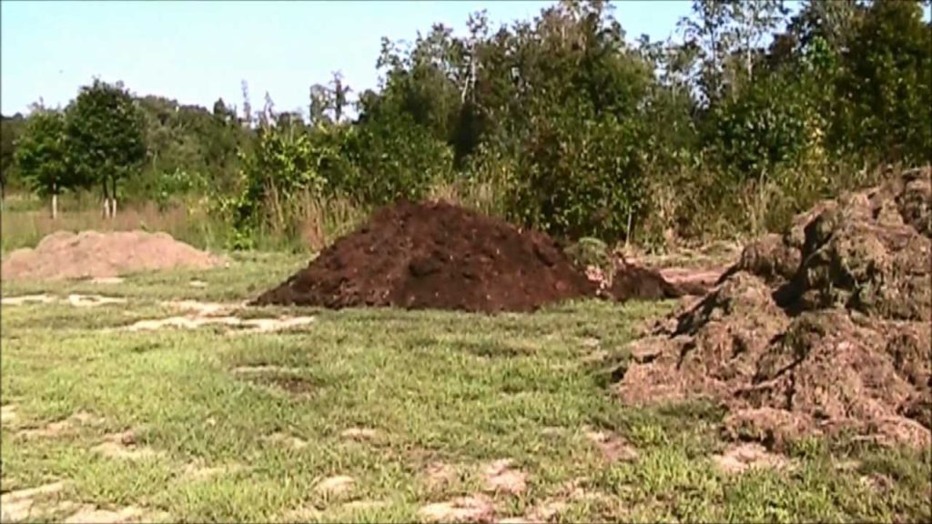 mhpgardener: Around the Homestead – What's Going On Around the Homestead - What's Going On