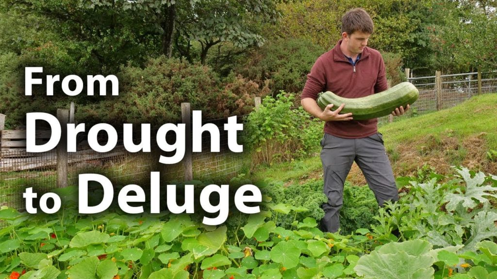 From DROUGHT to DELUGE | 004