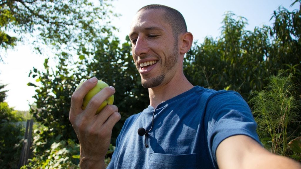 Does Garden SIZE Matter? OR is it About Scalability