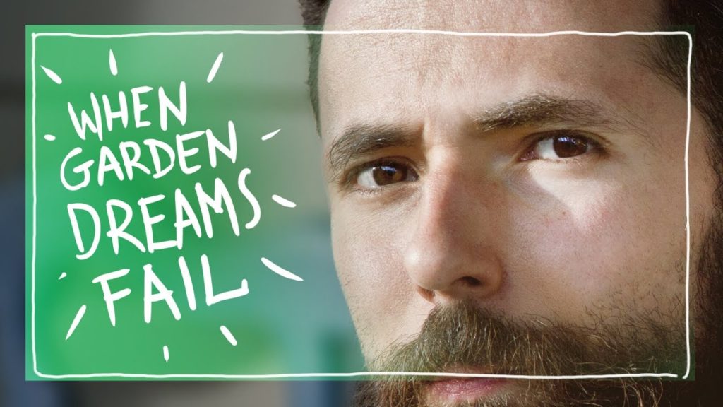 When Garden Dreams Fail - Replanting Peas