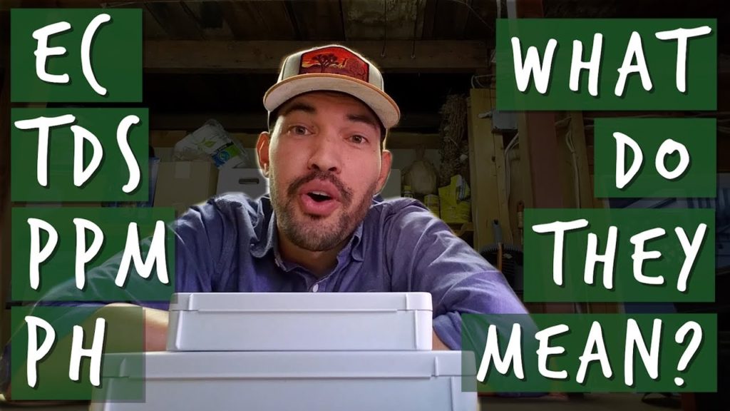 What are pH, EC, TDS, and PPM and How Are They Connected?
