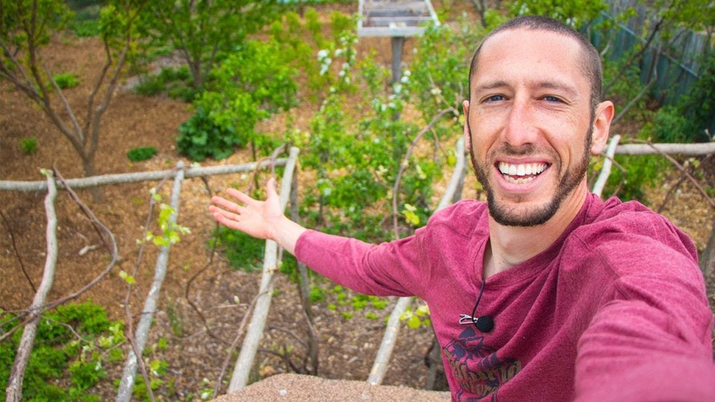 James Prigioni: how to grow A LOT OF FOOD in a small space how to grow A LOT OF FOOD in a small space