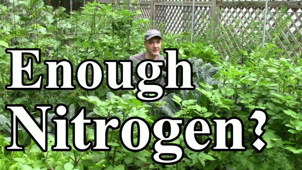 No Nitrogen Fertilizer Needed After We Reduced Compost Applications