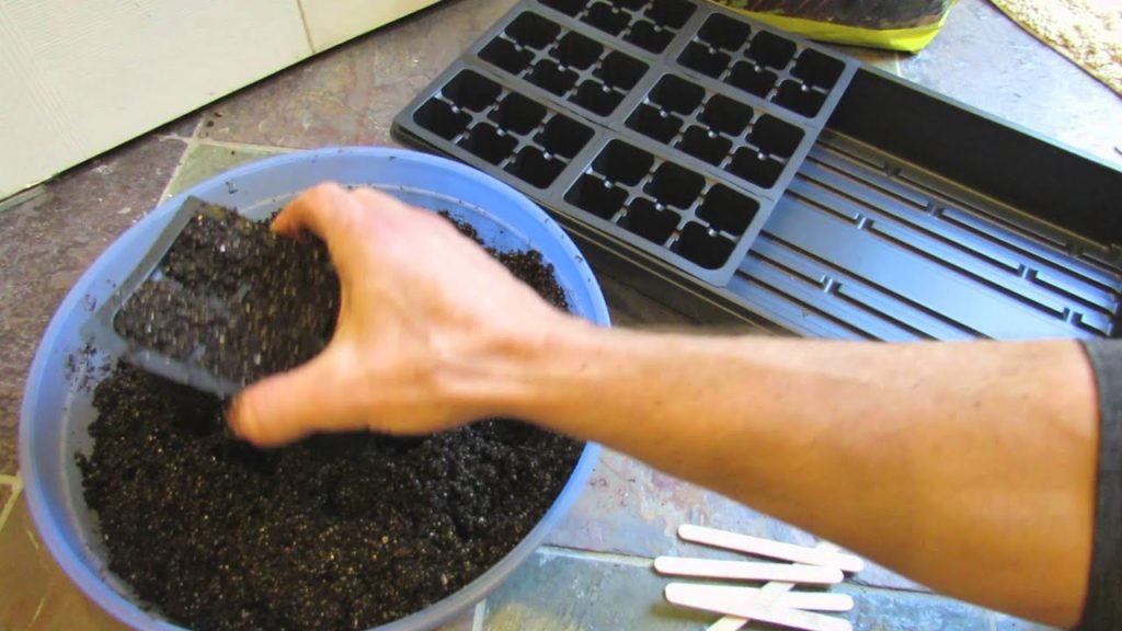 TRG 2016: Starting Onions Indoors: Knowing the Zones & Over Seeding Seed Starts