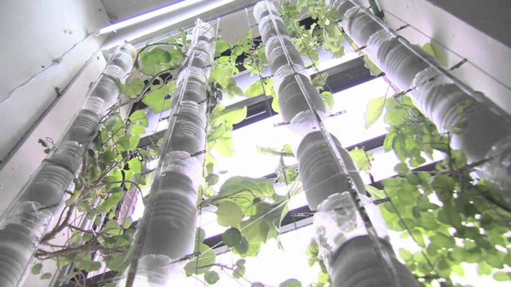 Window gardening - Fenstergärten