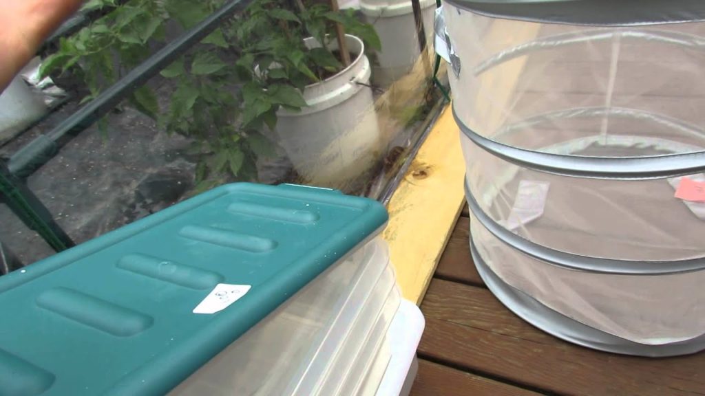 MFG 2013: Garden Thrift Store Shopping an Options for Saving  Money in Your Garden