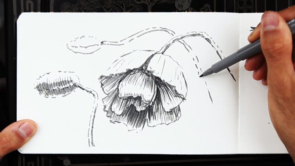 Sketchbook Drawing from the Garden