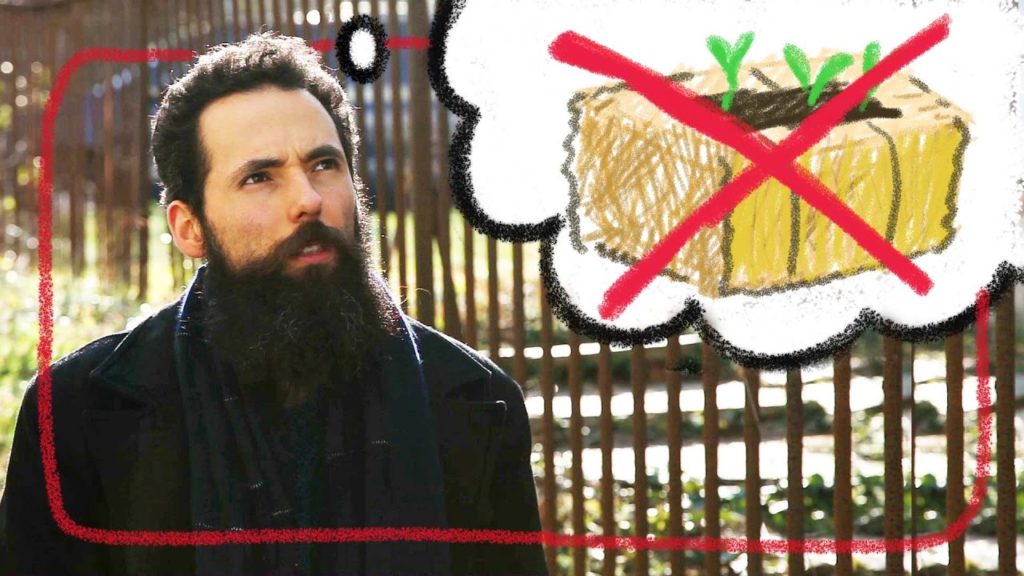 Why I Won't Do Straw Bale Gardening! How to control pests.