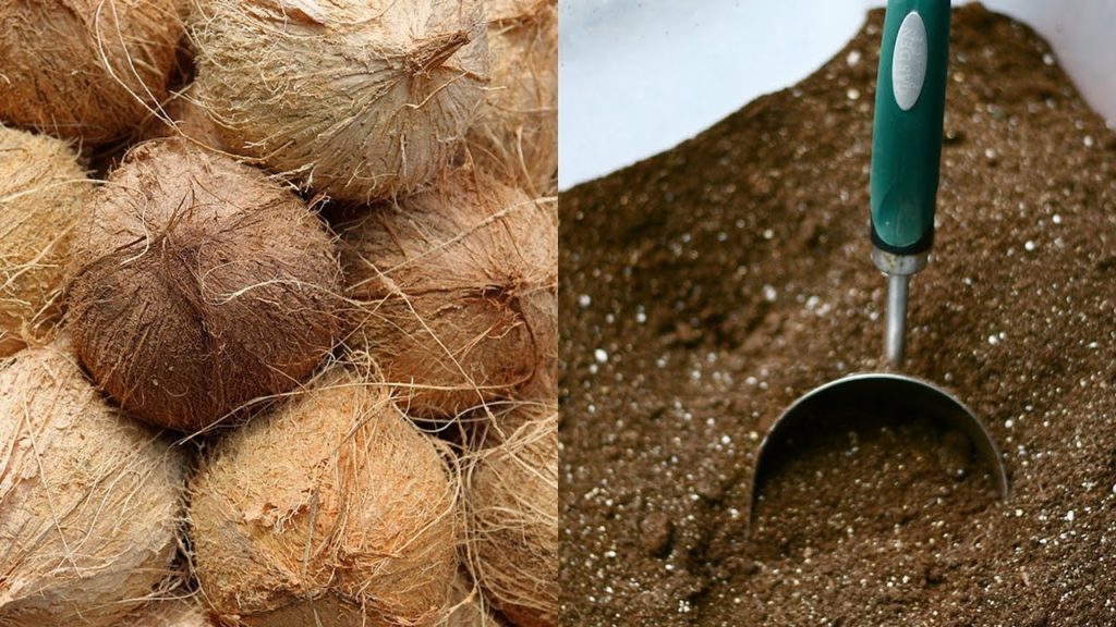 Epic Gardening: Coconut Coir: What it is and How To Use It In The Garden Coconut Coir: What it is and How To Use It In The Garden