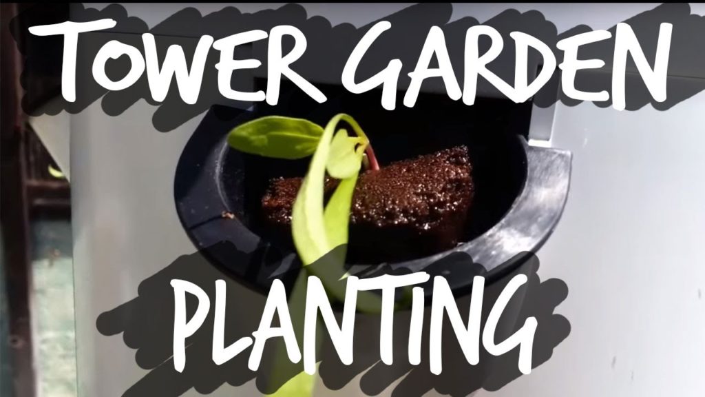 Planting the Tower Garden