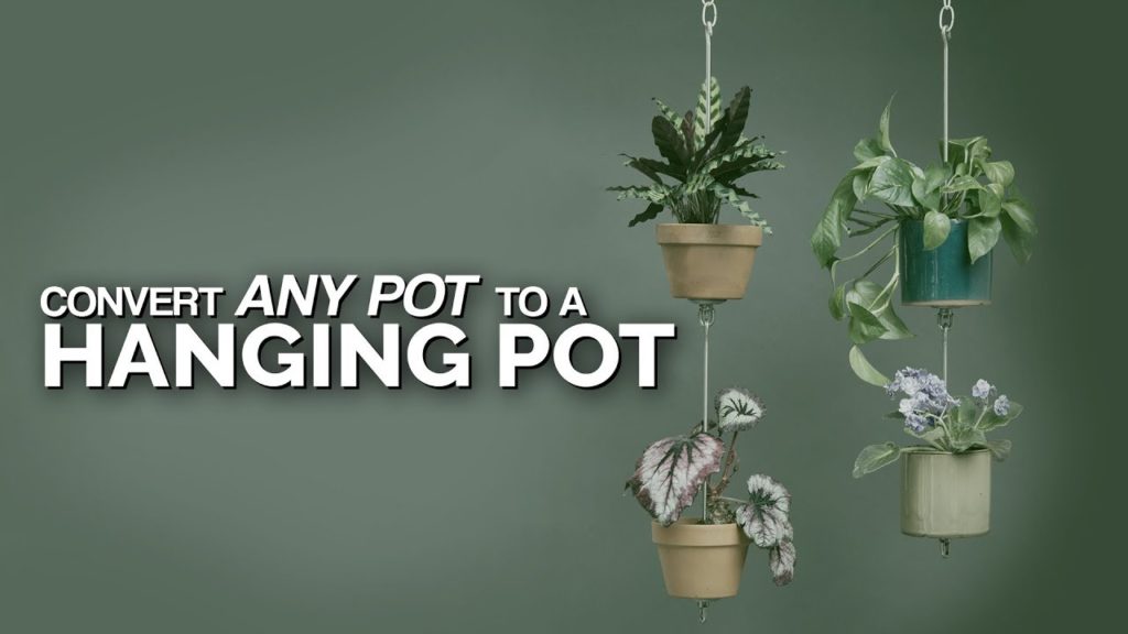 Epic Gardening: Turn Any Pot Into a Hanging Pot! 🤯 Turn Any Pot Into a Hanging Pot! 🤯
